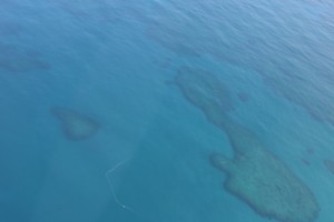 ocean reefs 